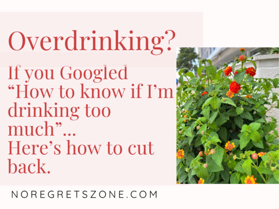 Overdrinking? Safe Ways To Learn More About Alcohol’s Effects.